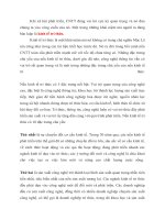 TIỂU LUẬN   KINH tế TRI THỨC   NHỮNG THÁCH THỨC và vấn đề đặt RA đối với VIỆT NAM HIỆN NAY