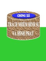 Slide bài giảng pháp luật chương 12 trách nhiệm hình sự hình phạt 