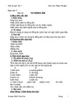 Giáo án Từ đồng âm  dự thi Huyện