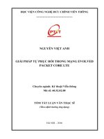 Giải pháp tự phục hồi trong mạng Evolved Packet Core LTE