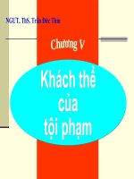 Slide bài giảng pháp luật chương 5 khách thể của tội phạm 