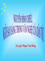 Nguyễn đình chiểu, ngôi sao sáng trong văn nghệ của dân tộc 