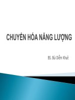CHUYỂN hóa NĂNG LƯỢNG ĐH Y Dược TP.HCM