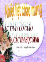 Bài 27  chế độ phong kiến nhà nguyễn 