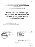 Nghiên cứu luận cứ khoa học để xây dựng quy phạm phân cấp tài nguyên, trữ lượng đá quý và bán quý việt nam 