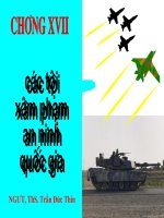 Slide bài giảng pháp luật chương 17 các tội xâm phạm an ninh quốc gia 