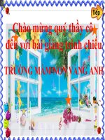 Môi trường xung quanh một số động vất sống dưới nước 