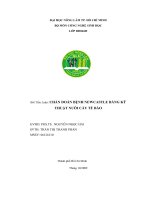 Chẩn đoán bệnh newcastle bằng kỹ thuật nuôi cấy tế bào