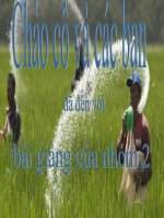 Phan bon hoa hoc lop 11 