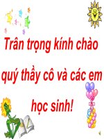 Hoi thi  hoa qua bon mua 