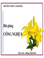 Bài giảng CÔNG NGHỆ 8 BIỂU DIỄN REN 