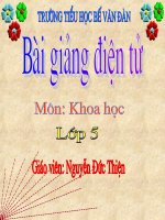 Khoa học lớp 5 bài 20 21  ôn tập con người và sức khỏe 