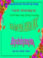 Chủ đề nhánh  động vật sống trong rừng 