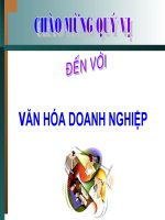 Bài Giảng Văn Hóa Doanh Nghiệp