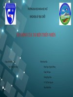 Tai biến thiên nhiên