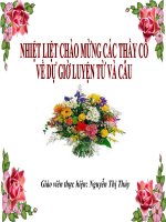 Chủ ngữ trong câu kể ai thế nào LTVC lớp 4 số 2 