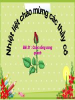 luyện từ và câu lớp 2 tuần32 