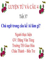 Chủ ngữ trong câu kể ai làm gì LTVC lớp 4 số 1 