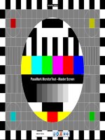 Cuộc đấu tranh bảo vệ và xây dụng chính quyền dân chủ nhân dân (1945   1946) 