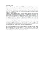 Đặc điểm dịch vụ và dịch vụ thương mại Ngành Viễn thông Việt Nam