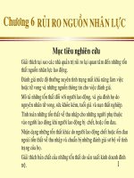 Bài Giảng Rủi Ro Nguồn Nhân Lực