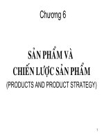 Sản Phẩm Và Chiến Lược Sản Phẩm (Products And Product Strategy)