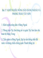 Khởi nghĩa nông dân đàng ngoài và phong trào tây sơn   lịch sử 10 