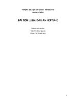 Phân tích chiến lược marketing về sản phẩm dầu ăn neptune