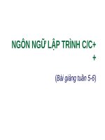 Bài Giảng Ngôn Ngữ Lập Trình CC++ - Con Trỏ Và Số Học Địa Chỉ