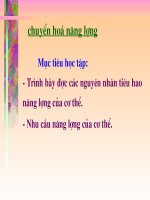 Bài Giảng Chuyển Hóa Năng Lượng Cơ Thể