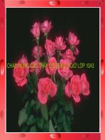 Bài giảng lịch sử 10 các quốc gia ấn và văn hoá truyền thống ấn độ 