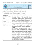 11 ktxh vo thi thanh loc 92 104  3214