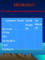 Bài sự sinh trưởng và phát dục của vật nuôi   công nghệ 7 