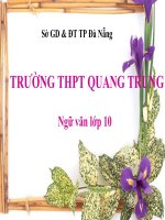 phủ sóng bạch đằng 