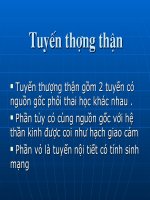 Bài Giảng Tuyến Thượng Thận