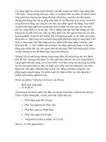 Quản lý môi trường làng nghề Dương Liễu