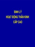 Sinh Lý Hoạt Động Thần Kinh Cấp Cao