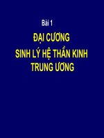 Đại Cương Sinh Lý Hệ Thần Kinh Trung Ương