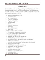 báo cáo bài tập lớn tin ứng dụng