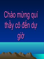 Cách mạng tư sản pháp cuối thế kỷ XVIII   lịch sử 10 