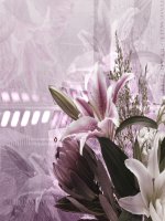 Chủ ngữ trong câu kể ai là gì LTVC lớp 4 số 19 