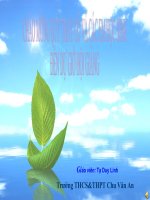 Nước việt nam dân chủ cộng hoà từ sau ngày 2 9 1945 đến trước ngày 19 12 1946 