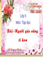 người gác rừng tí hon 