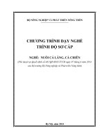 Chương trình dạy nghề trình độ sơ cấp nghề nuôi cá lăng, cá chiên 