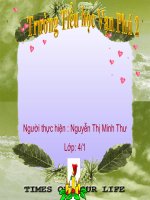 Bài giảng giữ phép lịch sự khi đặt câu hỏi LTVC lớp 4 số 7 