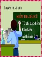 luyện từ và câu kiểu ai làm gì 