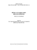 Bình luận khoa học bộ luật hình sự tập 6 