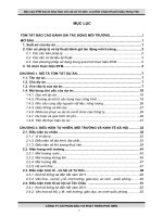 Đánh giá tác động môi trường mỏ cát thuộc xã Tứ Dân và xã Tân Châu, huyện Khoái Châu, tỉnh Hưng Yên.