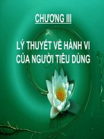 Slike Lý Thuyết Về Hành Vi Của Người Tiêu Dùng