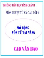 Mở rộng vốn từ tài năng LTVC lớp 4 số 12 